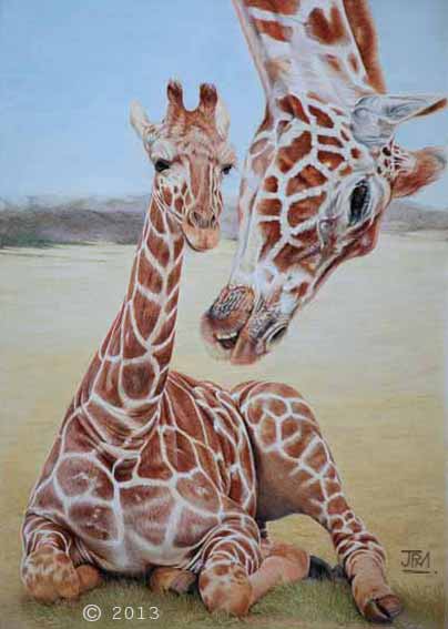 baby_giraffe