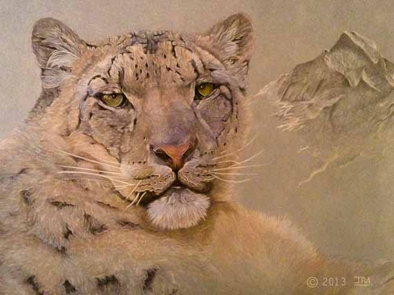 mountain_leo