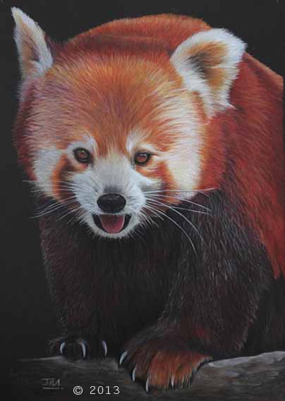 red_panda