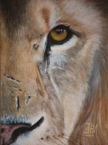 african_lion_detail