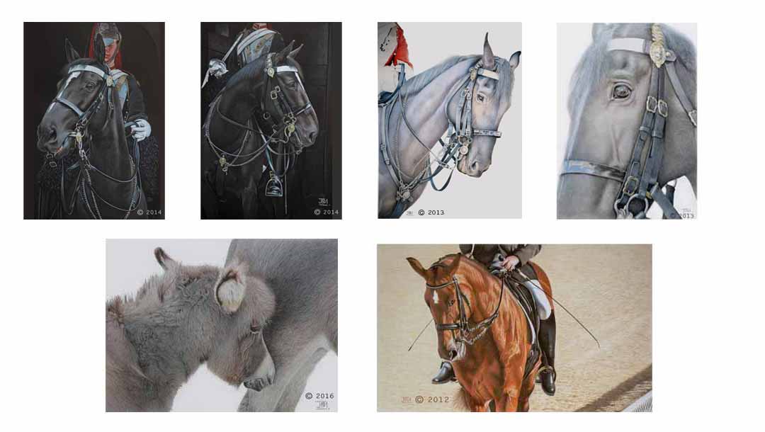 gallery_equine