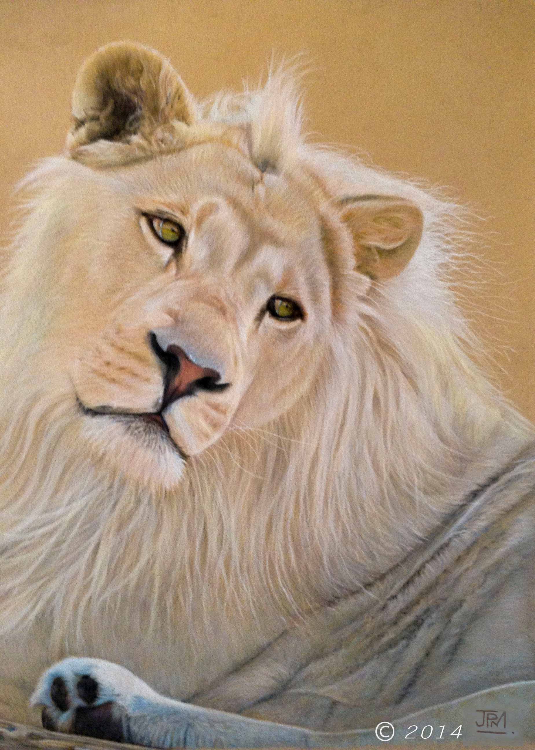 white_lion
